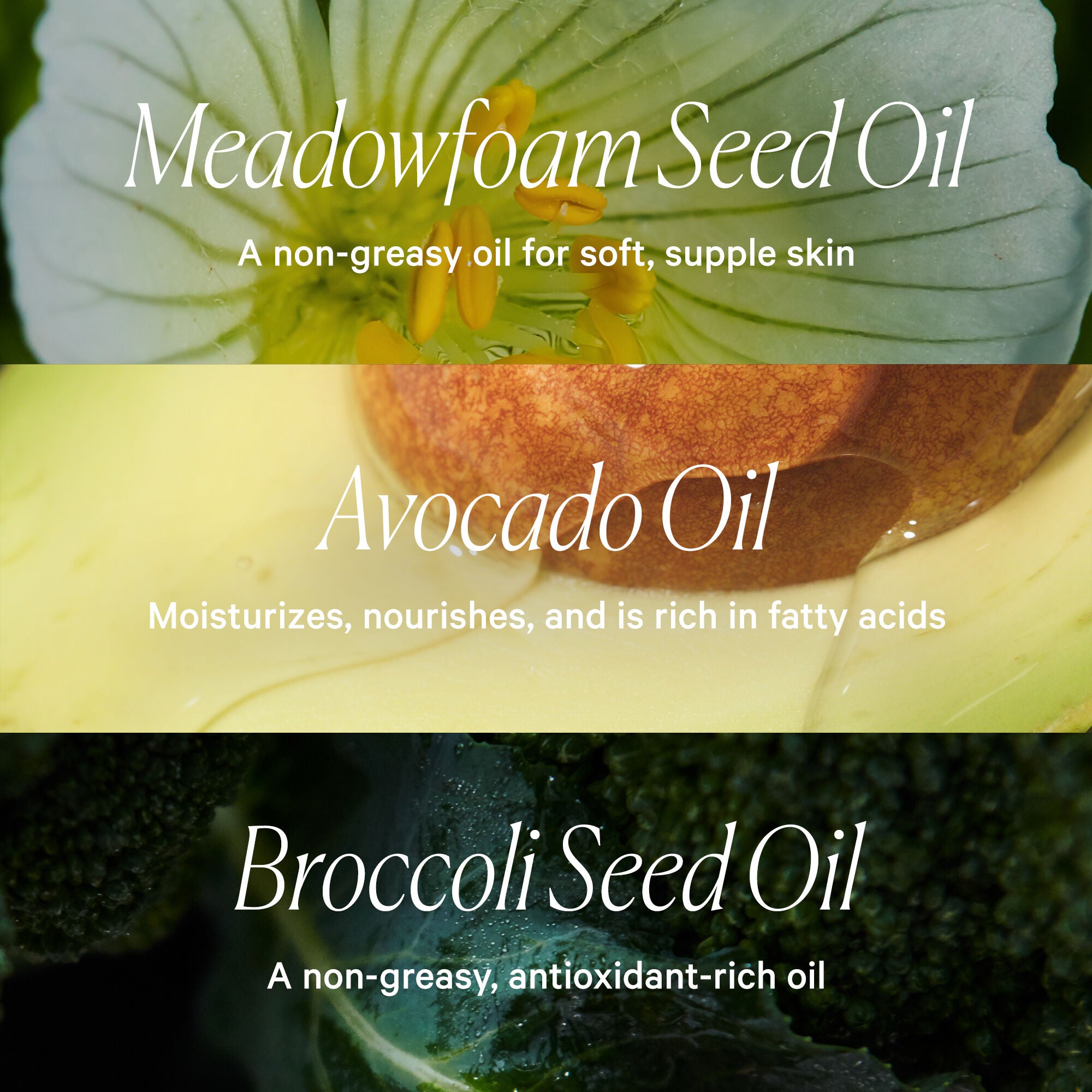 Plant Elixir Replenishing Botanical Facial Oil